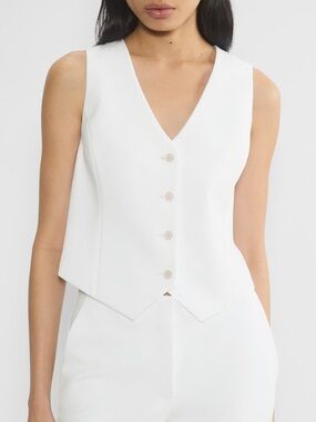 Babaton Aritzia Deniro Vest
